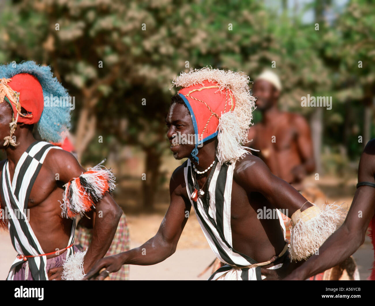 Des danseurs traditionnels, la Gambie, Afrique de l'Ouest Banque D'Images