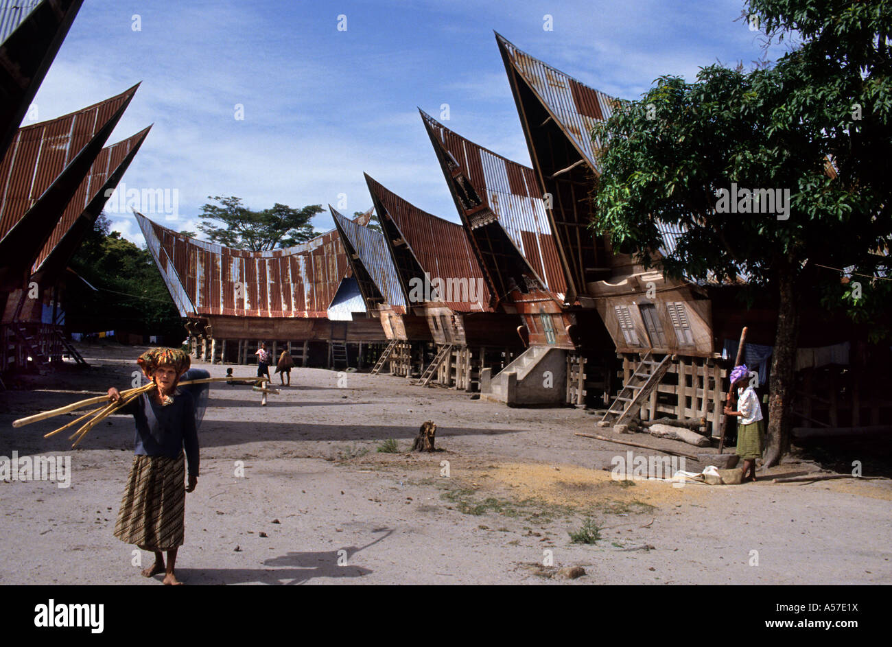 Village de Siallagan situé à Ambarita, long House, maisons traditionnelles de toit de Batak, 19-20e siècle. Toba Batak, lac Toba, Sumatra, Indonésie) Banque D'Images