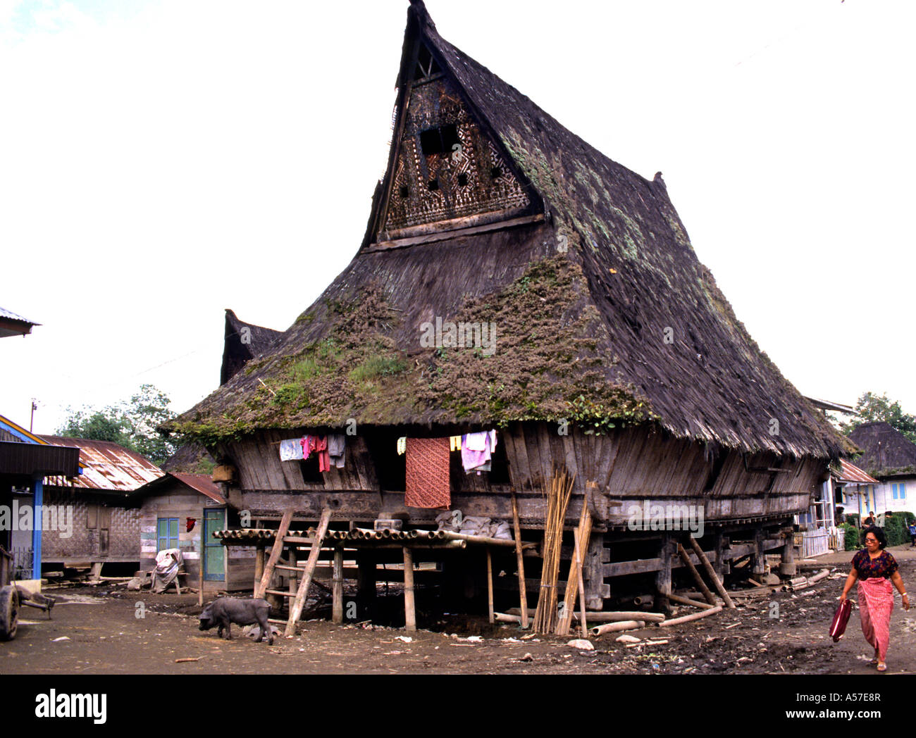 Long House Batak Barusjahe village de Karo Regency. (Toba,Karo,Simalungun,Pak Pak, Mandliing, Angkola)tribus Batak,Lac Toba,Sumatra,Indonésie) Banque D'Images Long House Batak Barusjahe village de Karo Regency. (Toba,Karo,Simalungun,Pak Pak, Mandliing, Angkola)tribus Batak,Lac Toba,Sumatra,Indonésie) Banque D'Images