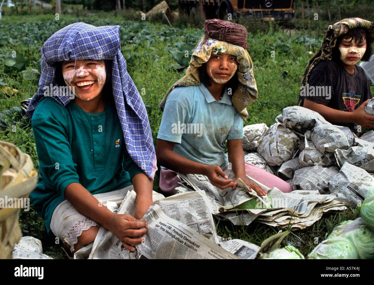 Fermier Toba Batak (Toba,Karo,Simalungun,Pak Pak, Mandliing, Angkola)tribus Batak,Lac Toba,Sumatra,Indonésie) Banque D'Images Fermier Toba Batak (Toba,Karo,Simalungun,Pak Pak, Mandliing, Angkola)tribus Batak,Lac Toba,Sumatra,Indonésie) Banque D'Images