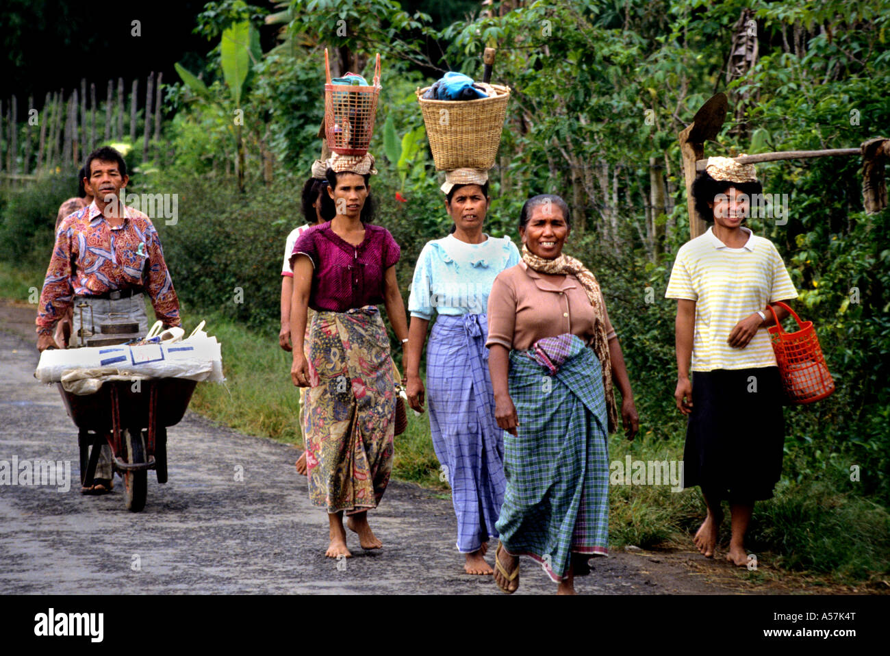 Fermier Toba Batak (Toba,Karo,Simalungun,Pak Pak, Mandliing, Angkola)tribus Batak,Lac Toba,Sumatra,Indonésie) Banque D'Images Fermier Toba Batak (Toba,Karo,Simalungun,Pak Pak, Mandliing, Angkola)tribus Batak,Lac Toba,Sumatra,Indonésie) Banque D'Images