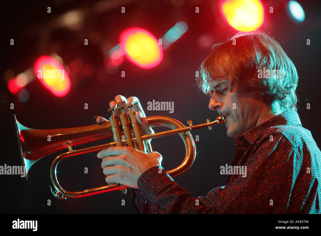 Le trompettiste de jazz Markus Stockhausen Banque D'Images
