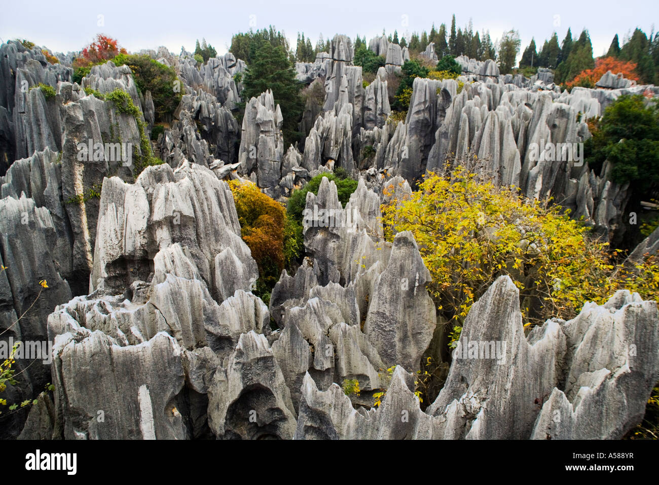 Forêt de pierre de Shilin Yunnan Province sud-ouest de la Chine JMH2106 Banque D'Images