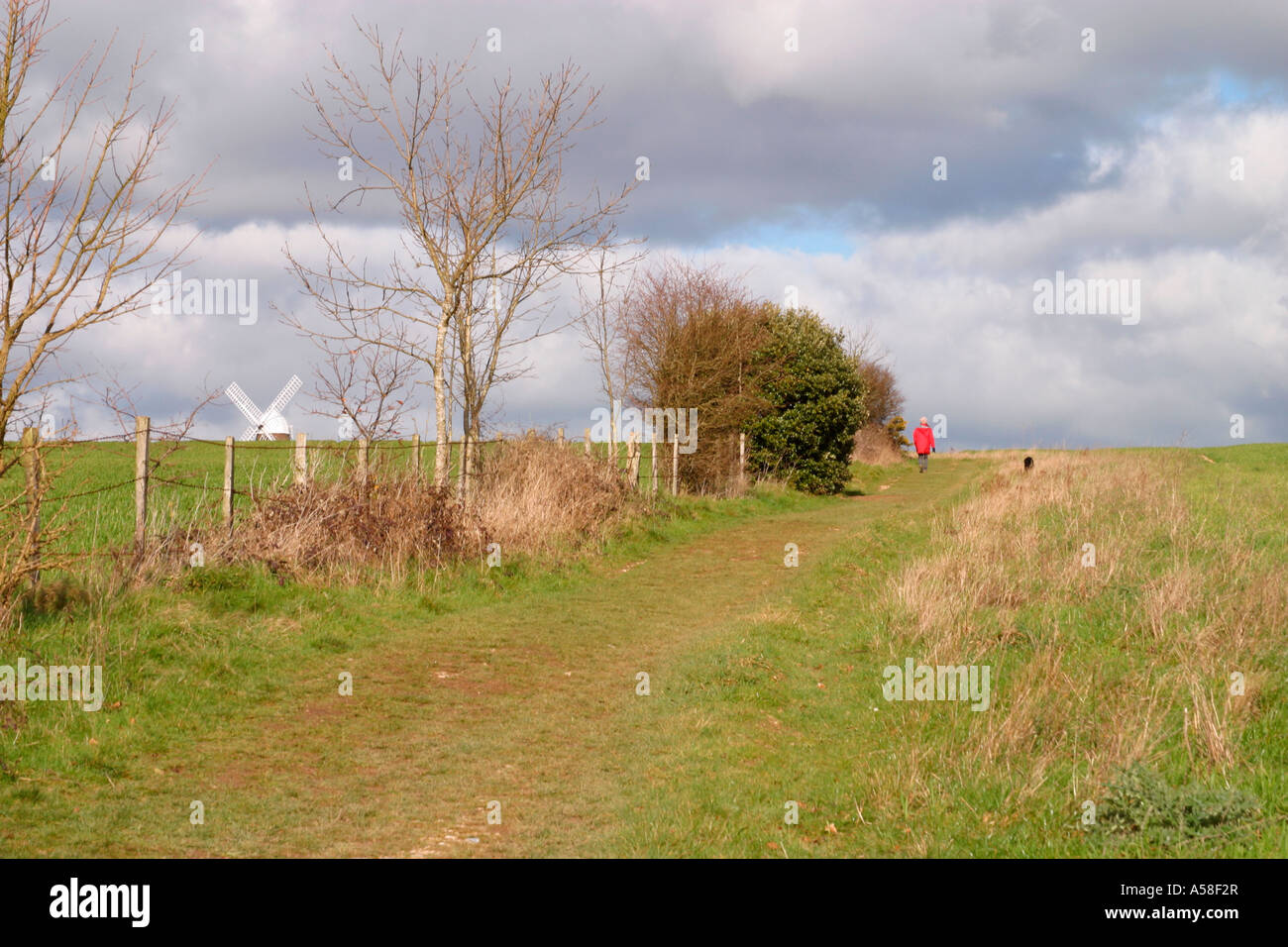 Lady dans une veste rouge marchant son chien à Halnaker Windmill, Chichester, West Sussex, Angleterre, Royaume-Uni Banque D'Images
