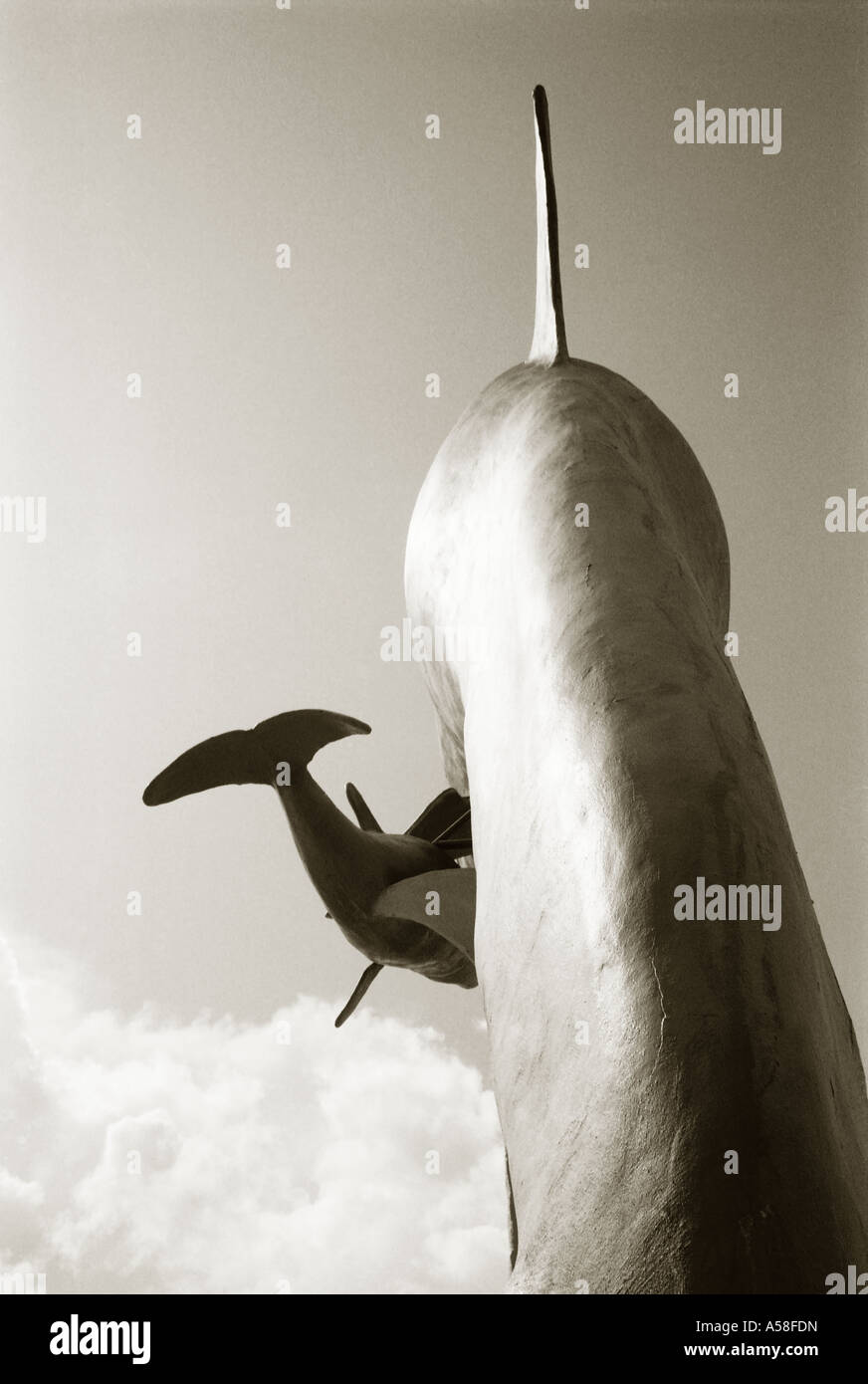 Portrait noir et blanc teinté de dolphin statue. Banque D'Images