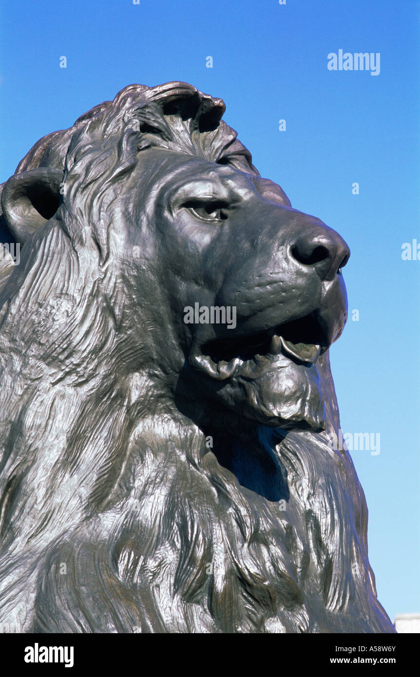 L'Angleterre, Londres, Trafalgar Square, Nelsons Column, Lion Statue Banque D'Images