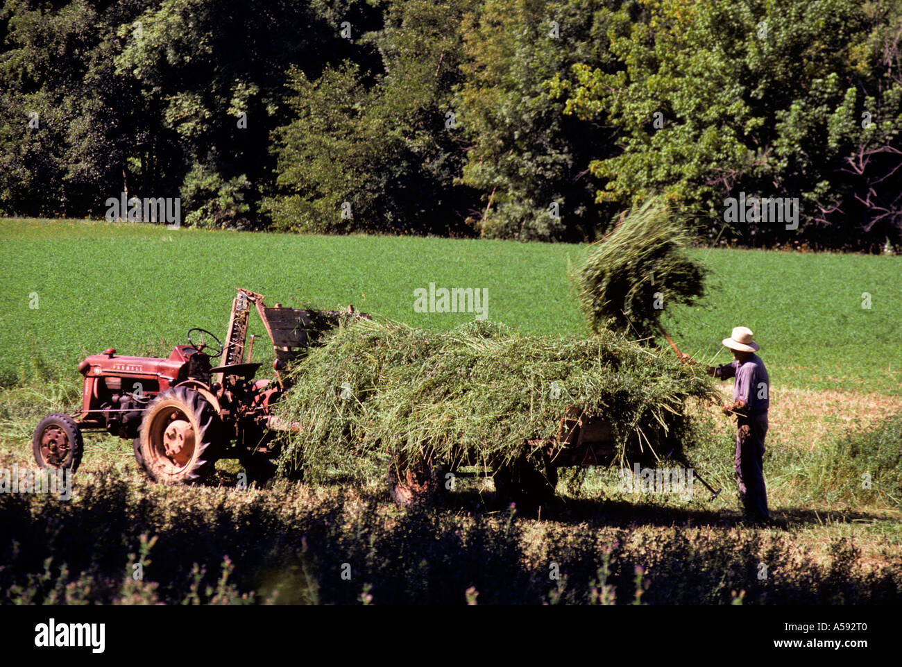À l'aide d'agriculteurs une fourche de chargement d'un véhicule tracteur et d'une remorque avec des aliments pour animaux pour l'alimentation animale Reignac France Banque D'Images