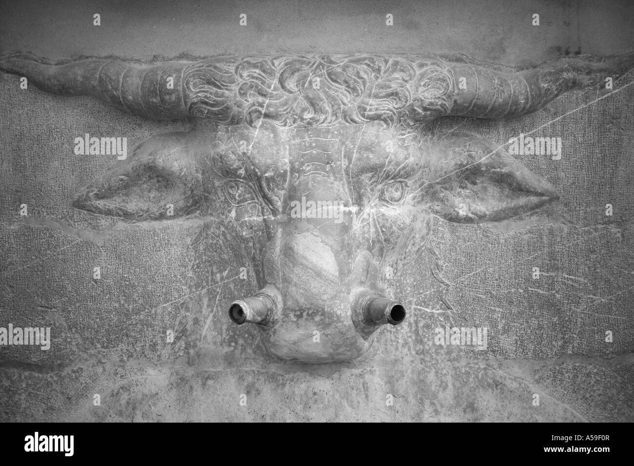 Bulls head fountain Plaza de Santa Anna Albaycin, Granada, Andalousie Espagne Banque D'Images