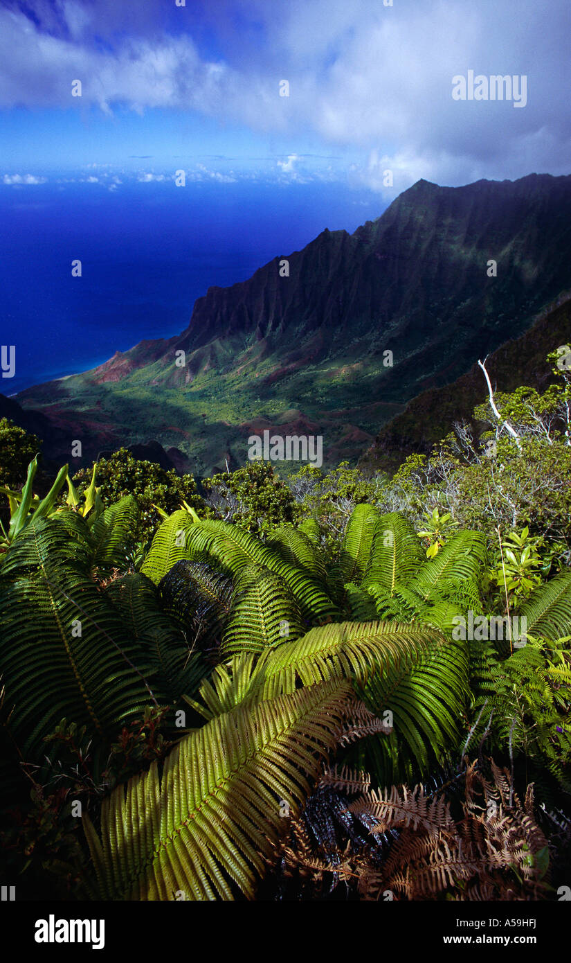 Côte de Na Pali, Kauai, Hawaii, USA Banque D'Images