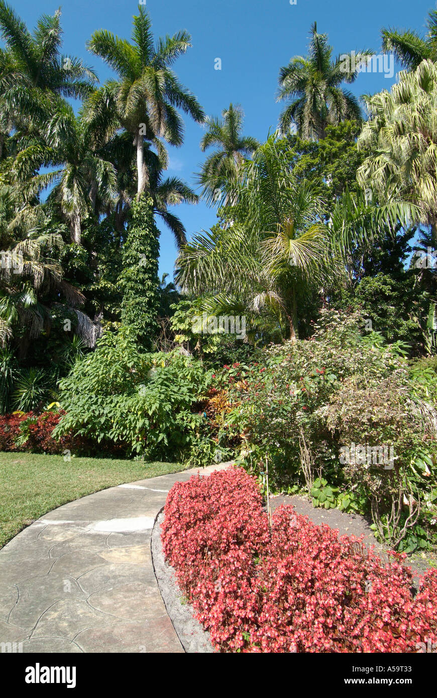 Sunken Gardens est une attraction touristique locale à St Petersburg en Floride Banque D'Images