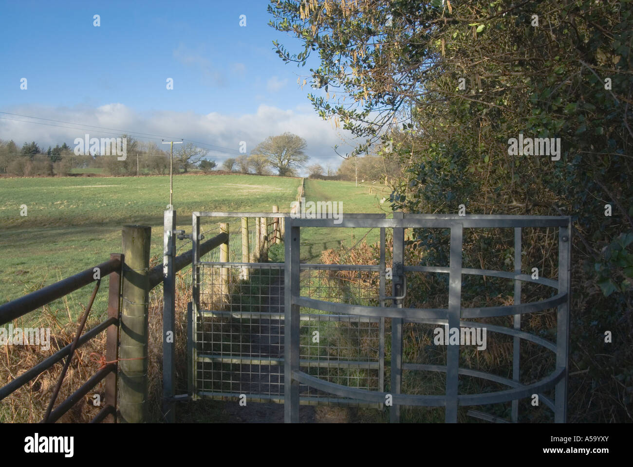 Style campagne et vue sur champs vide, Alderbury, Wiltshire, près de Salisbury Banque D'Images