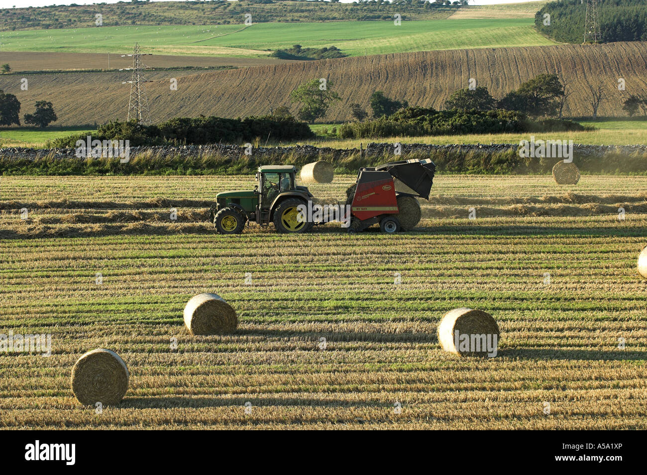 Champ de blé en cours de récolte et la paille en balles grand Scottish Borders Banque D'Images