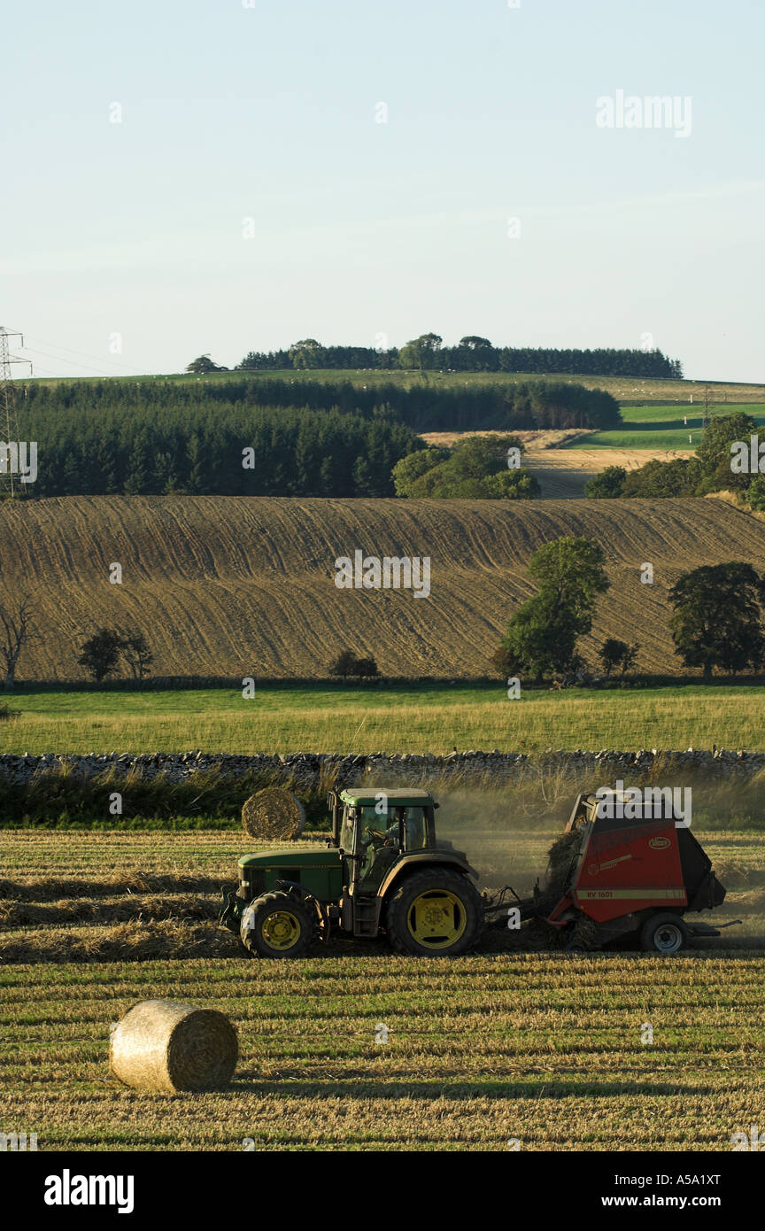 Champ de blé en cours de récolte et la paille en balles grand Scottish Borders Banque D'Images