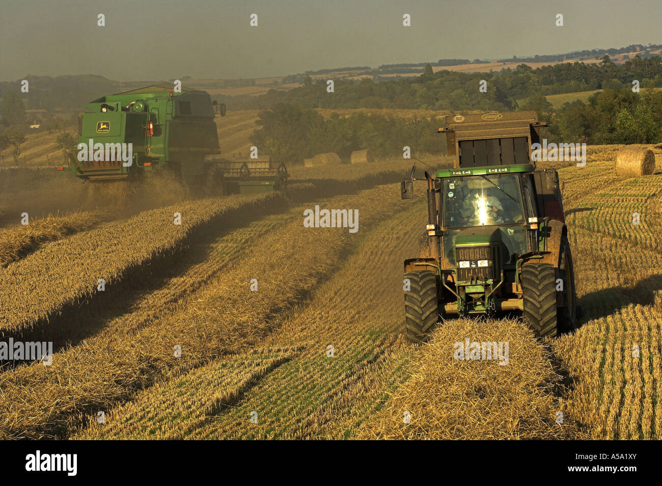 Champ de blé en cours de récolte et la paille en balles grand Scottish Borders Banque D'Images