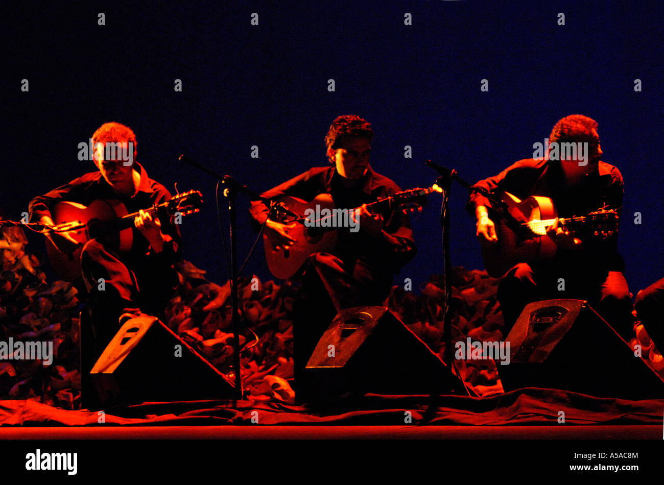 Des guitaristes dans le Festival de Flamenco 07 au Sadlers Wells Theatre London Banque D'Images