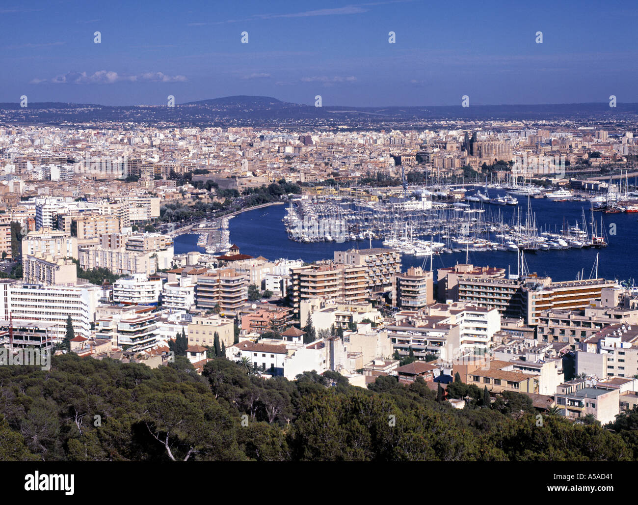 Palma, Majorque, Espagne Banque D'Images