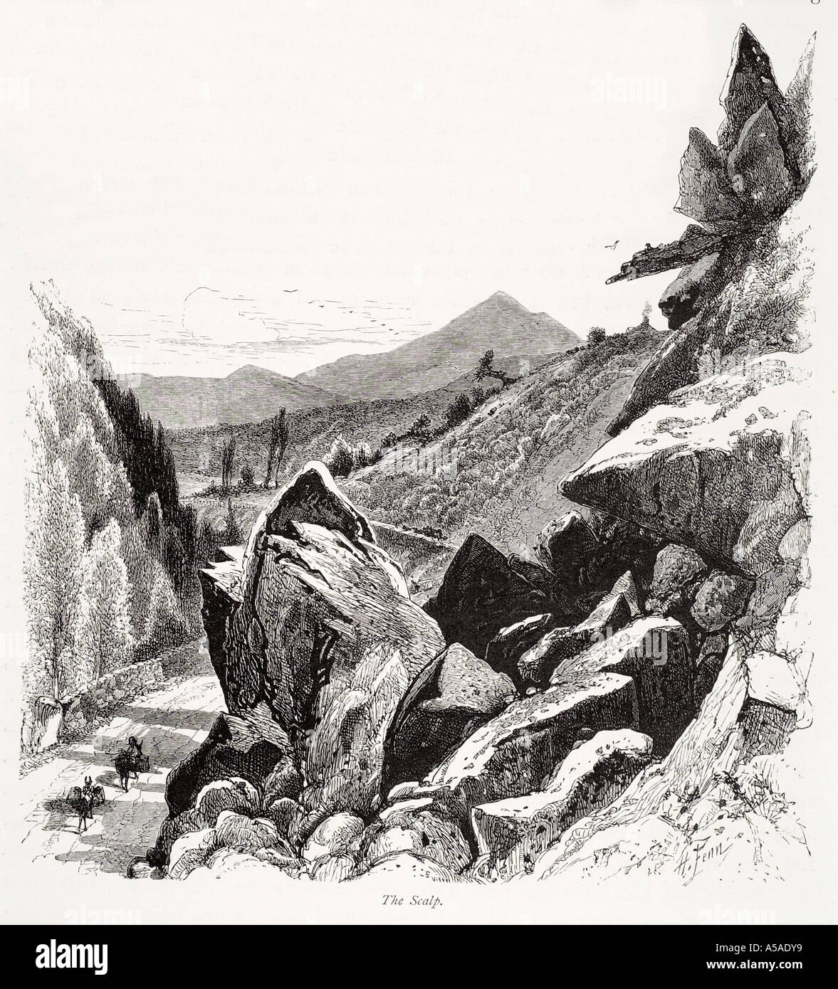 Cuir chevelu Irish Eire pass route piste valley rock jagged sèche broken tree raide de montagne Banque D'Images