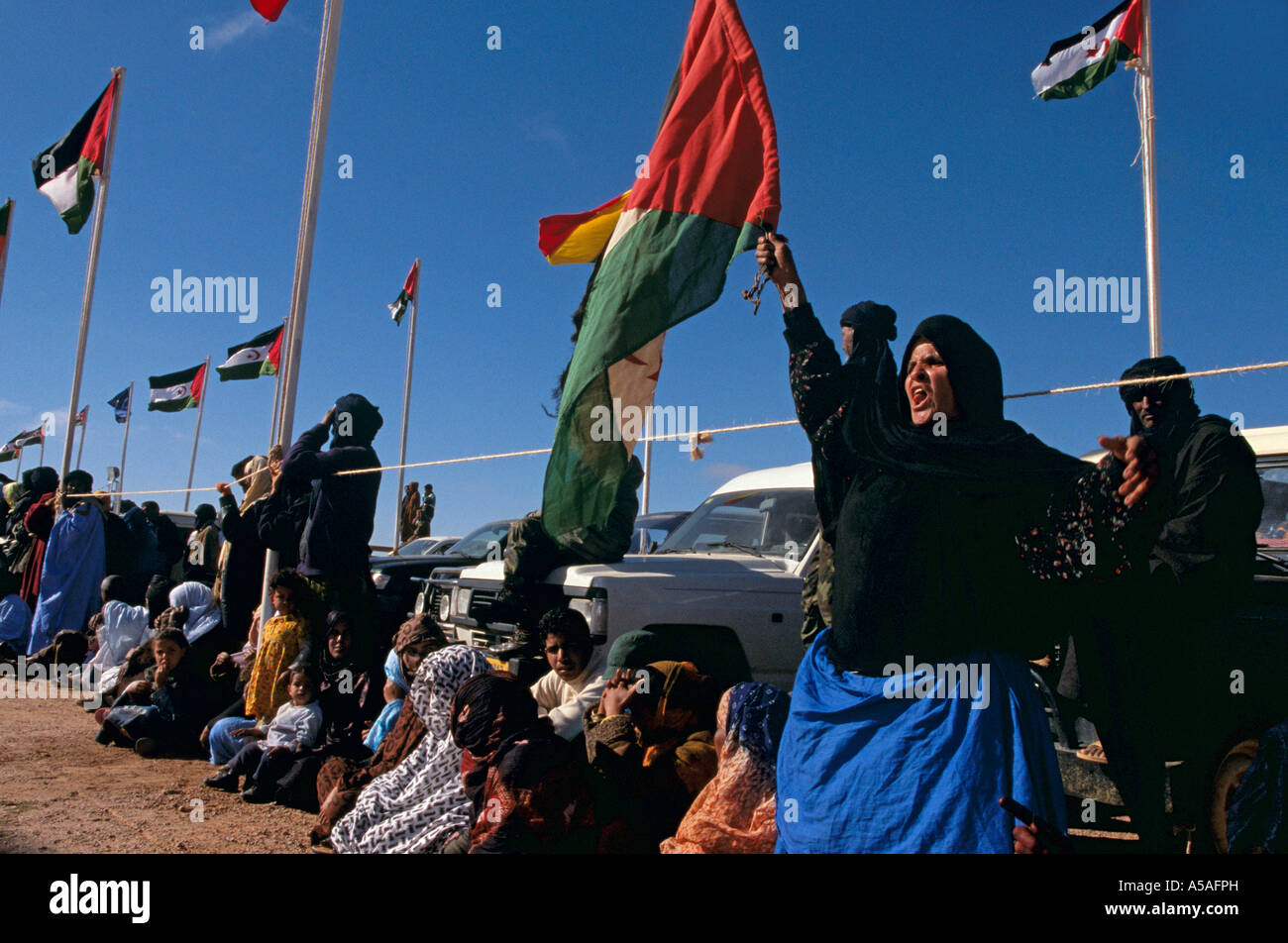 Les femmes sahraouis célébrant le jour de l'indépendance dans l'ouest algérien Banque D'Images