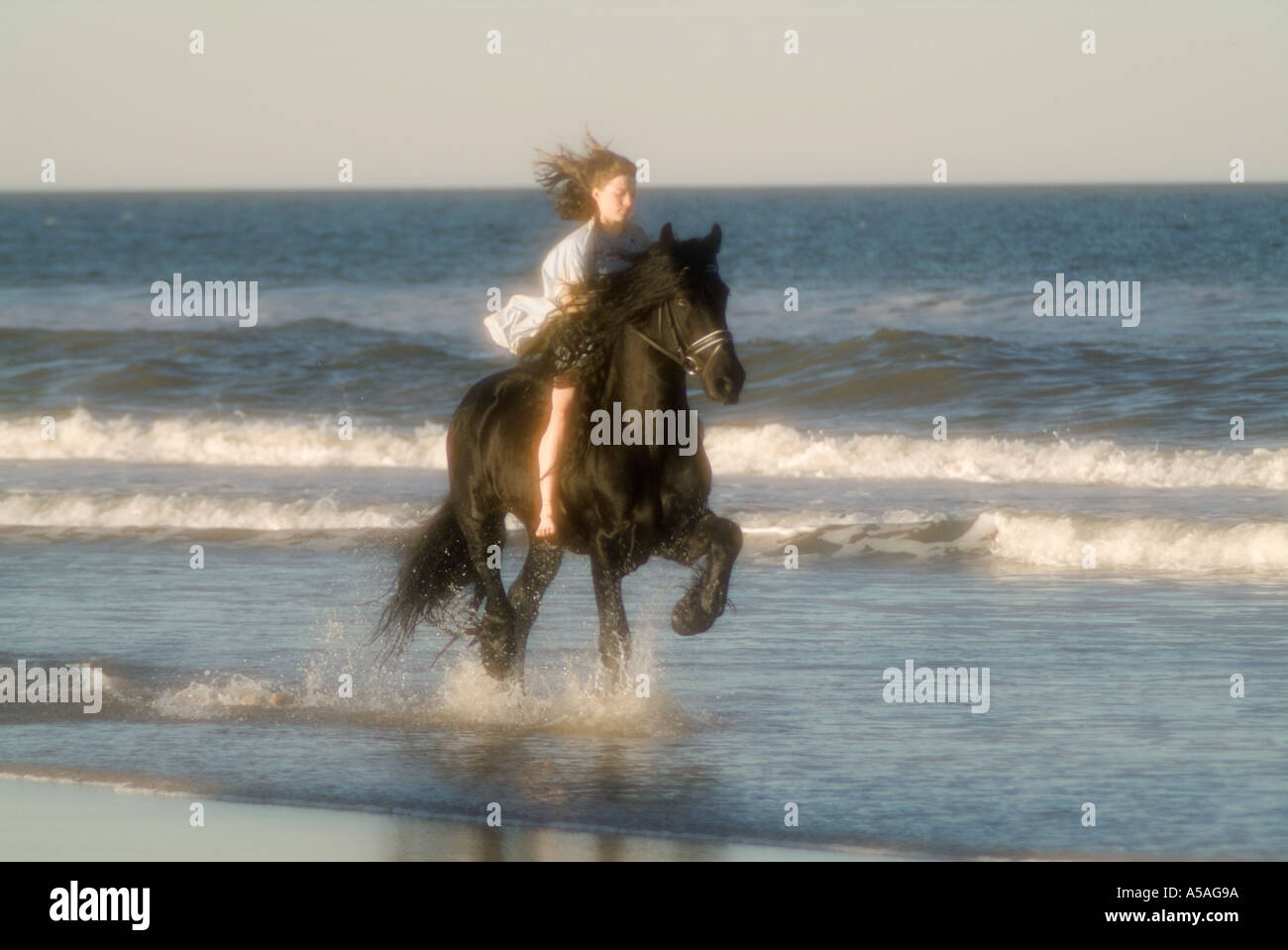 Jeune femme équitation étalon frison sur la plage au coucher du soleil Banque D'Images