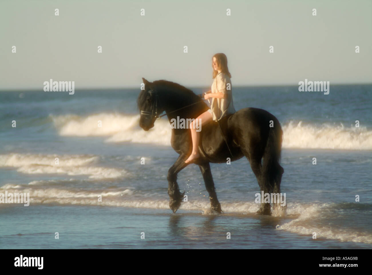 Jeune femme équitation étalon frison sur la plage au coucher du soleil Banque D'Images