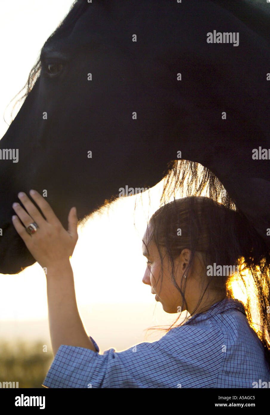 Teen girl avec cheval Frison Banque D'Images
