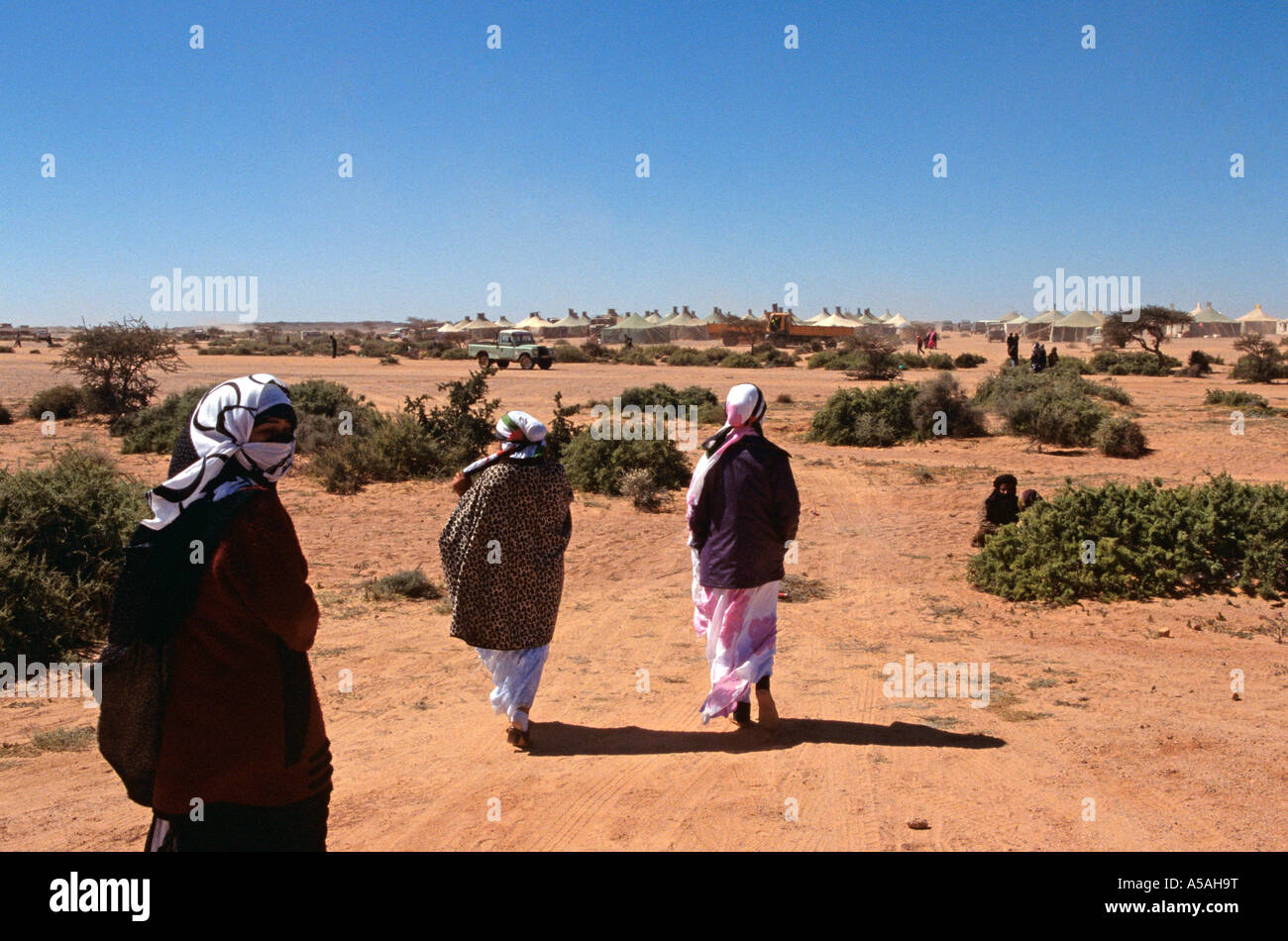 Les femmes sahraouies dans un camp de réfugiés de Tindouf en Algérie de l'Ouest Banque D'Images