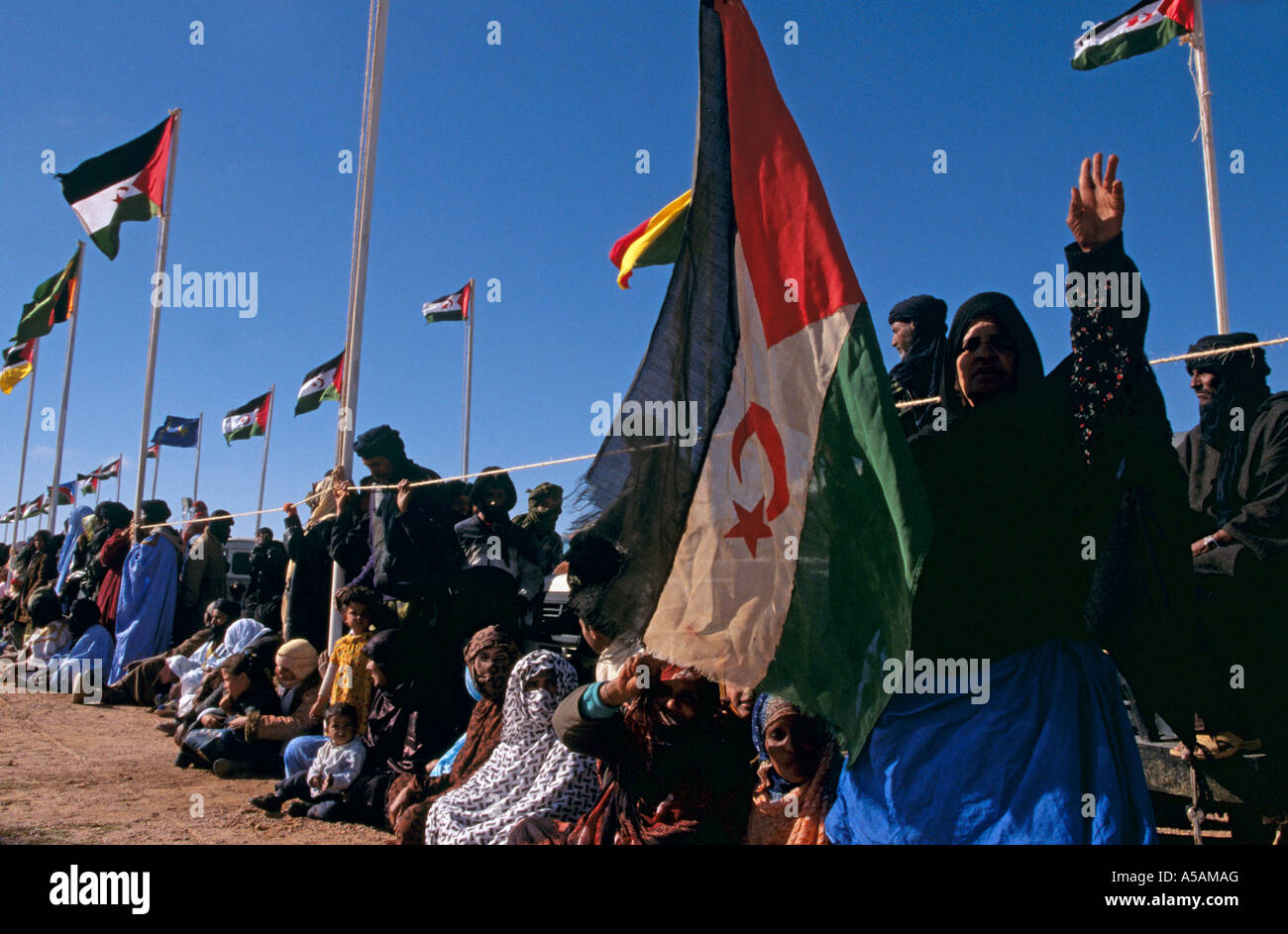 Les femmes sahraouis célébrant le jour de l'indépendance dans l'ouest algérien Banque D'Images