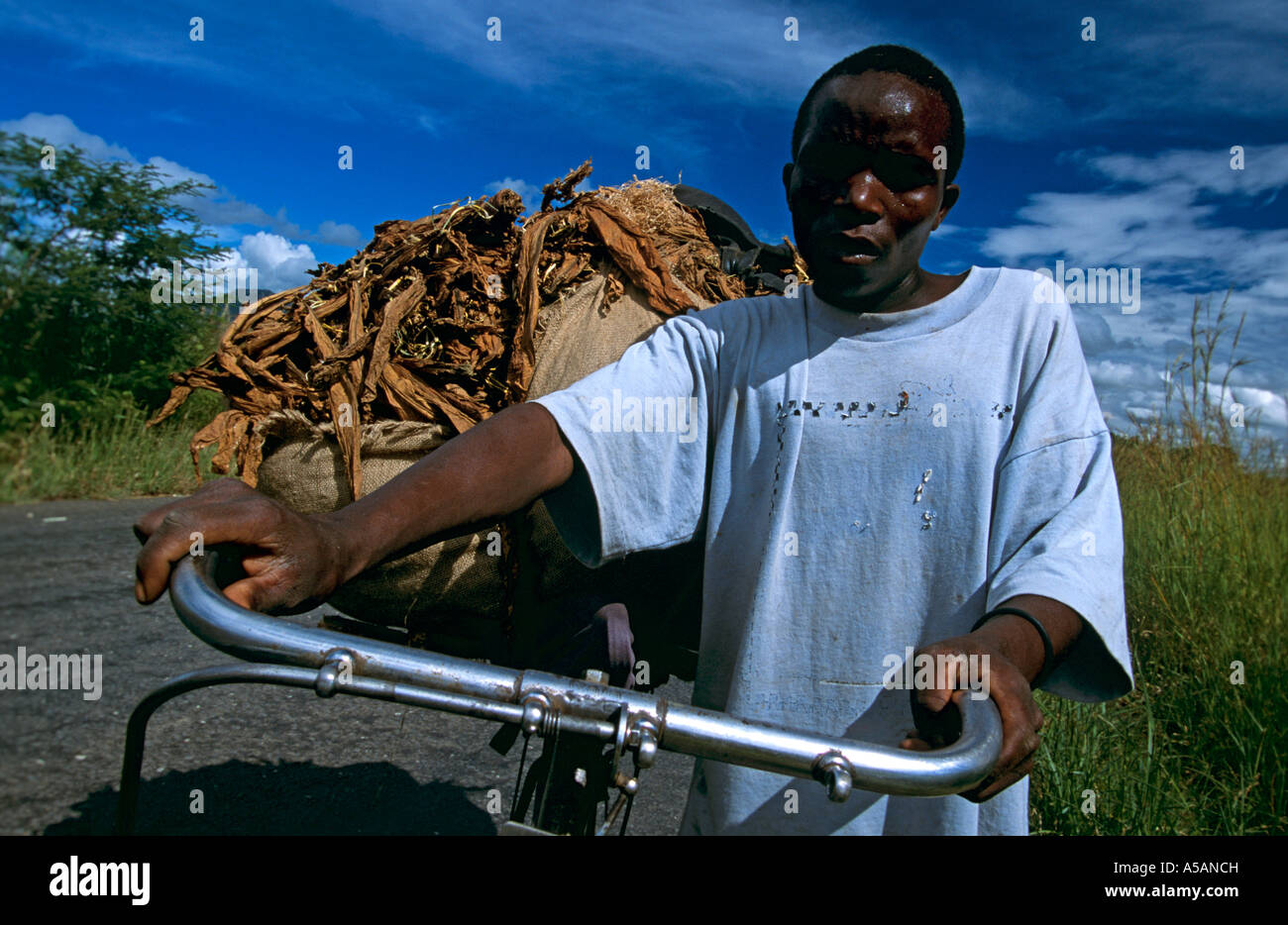 Un homme transportant des marchandises sur son cycle Malawi Banque D'Images