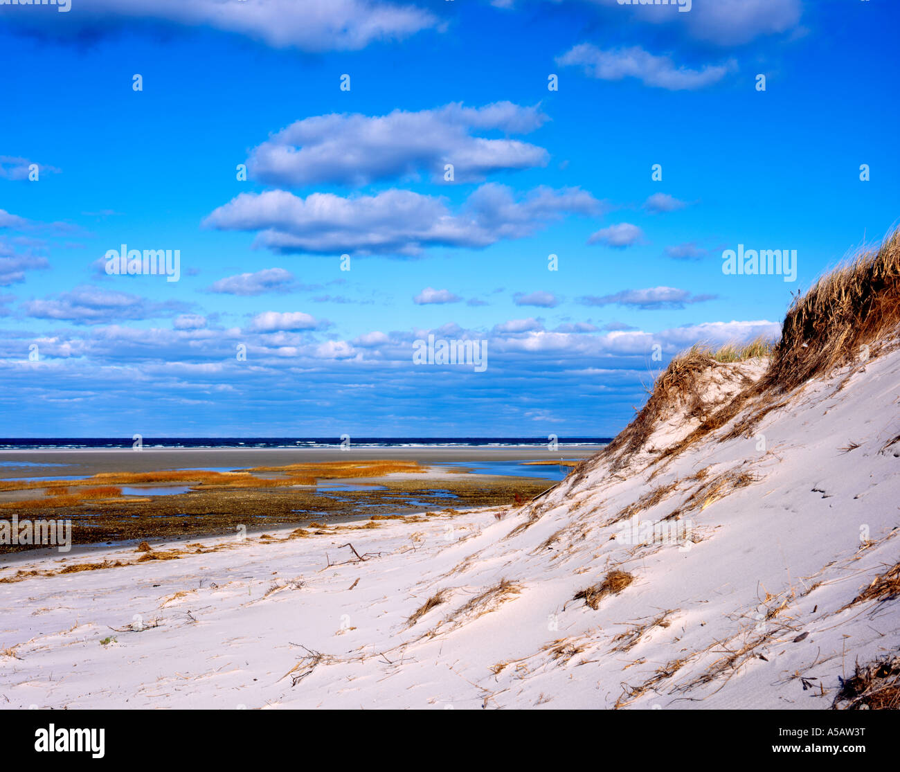 Chapin Beach Sand Dune, Dennis, Cape Cod, USA Banque D'Images