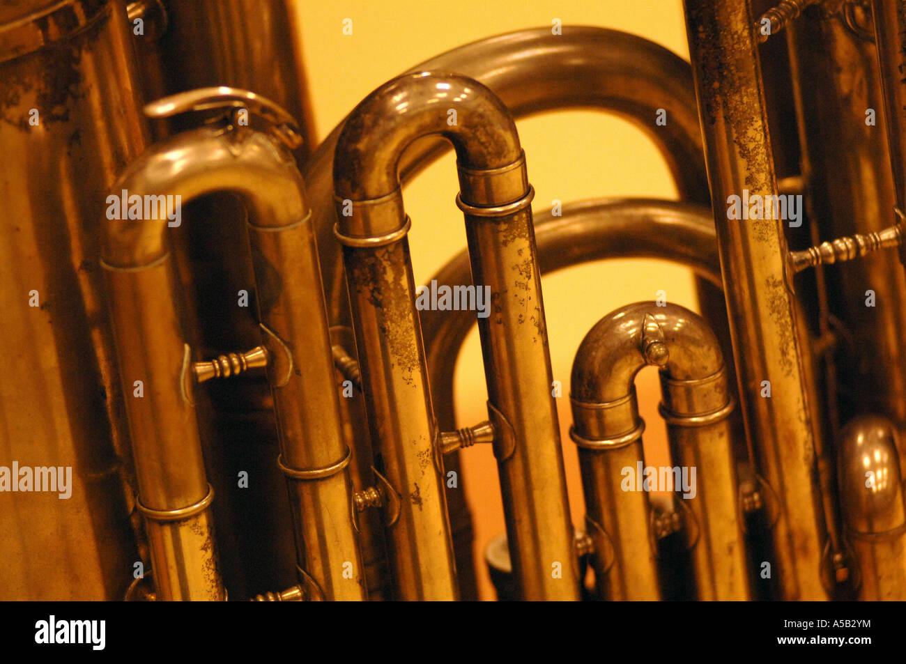 Section transversale du brass instrument de musique. Banque D'Images