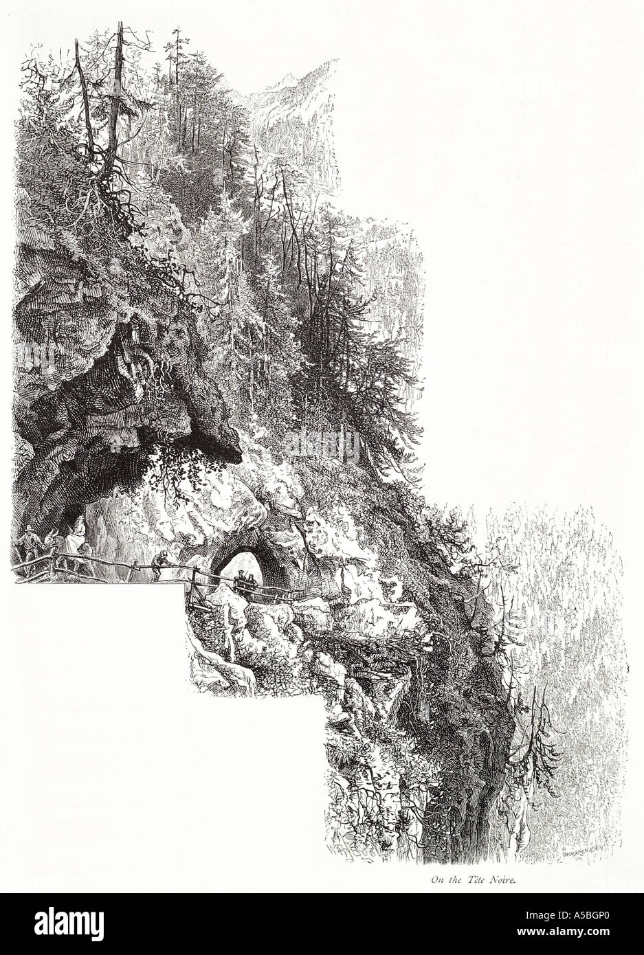La tête noire black mountain Haute Savoie Alpes France passage alpin tunnel chenille bois forêt arbre haute clôture précipice rock Banque D'Images