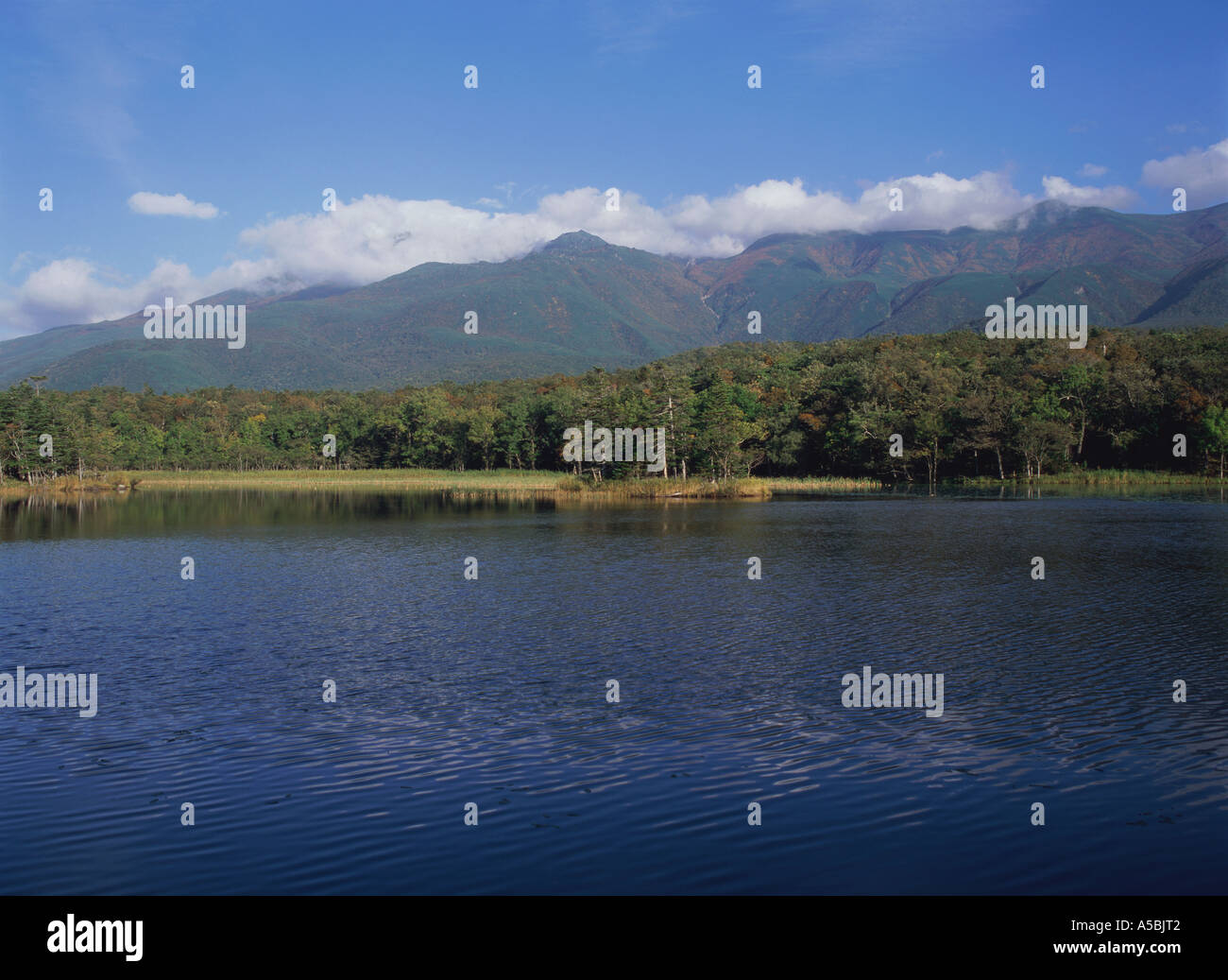 Cinq lacs de Shiretoko Hokkaïdo Japon Banque D'Images