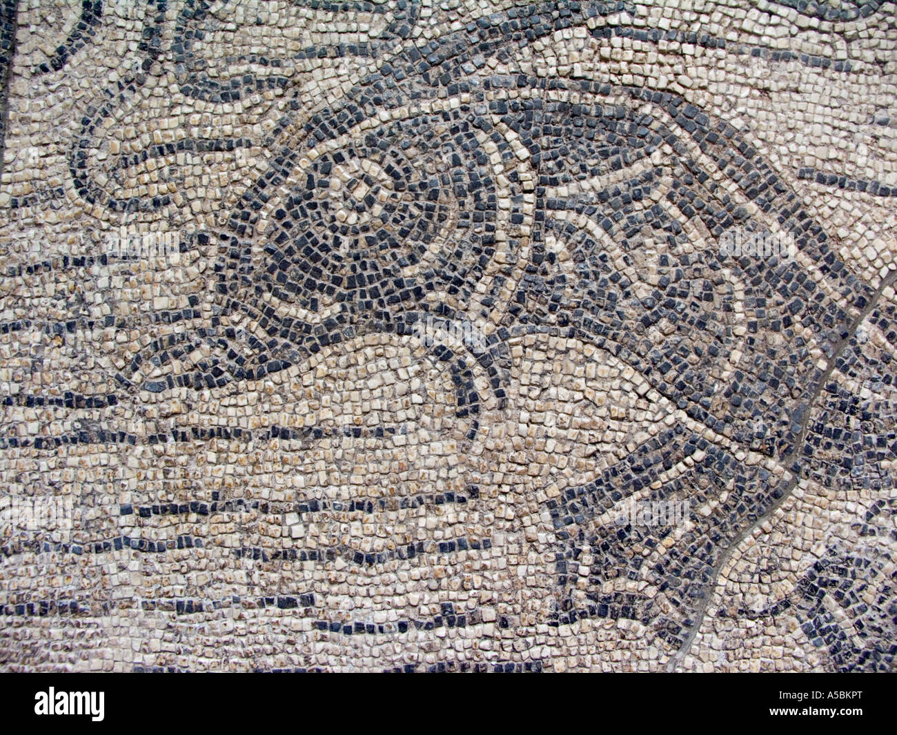 Mosaïque romaine, poisson déco Banque D'Images