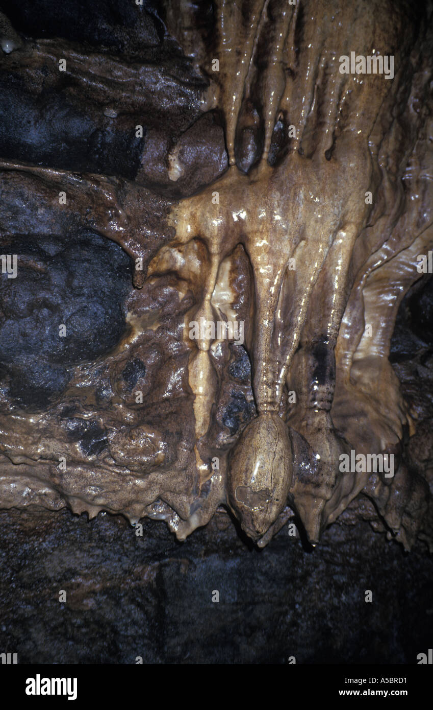 Ingleborough cave stalactite Yorkshire Angleterre Banque D'Images