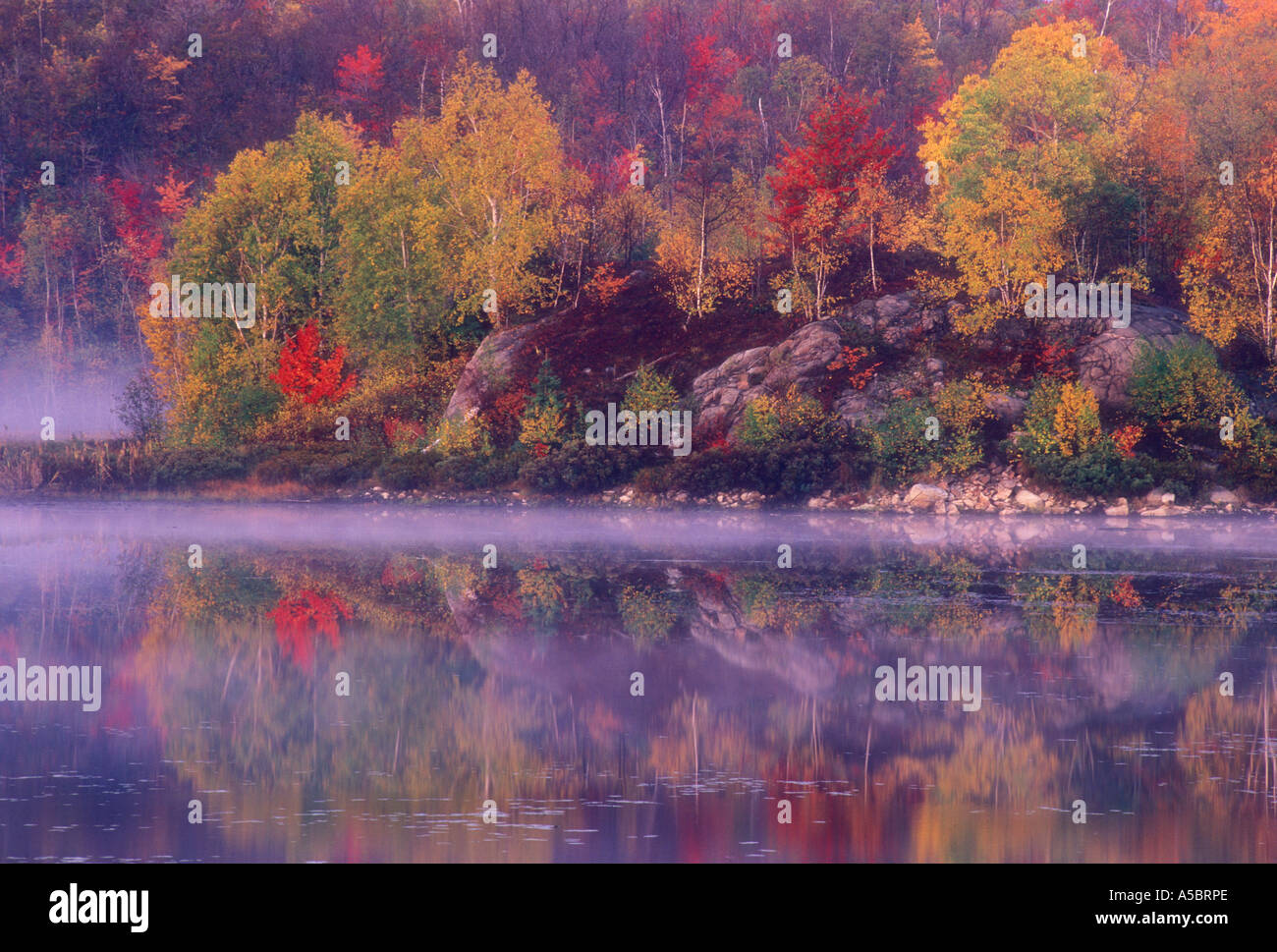 Colline de l'érable rouge et le bouleau blanc reflète dans le calme étang de castors, Grand Sudbury, Ontario, Canada Banque D'Images