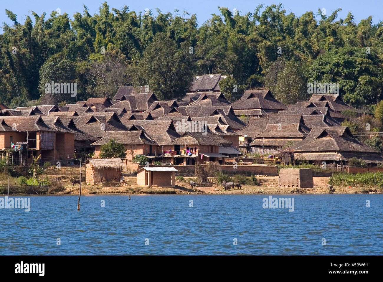 Hani minorité ethnique akha Village Maisons en Gelanghe Chine Xishuangbanna Banque D'Images