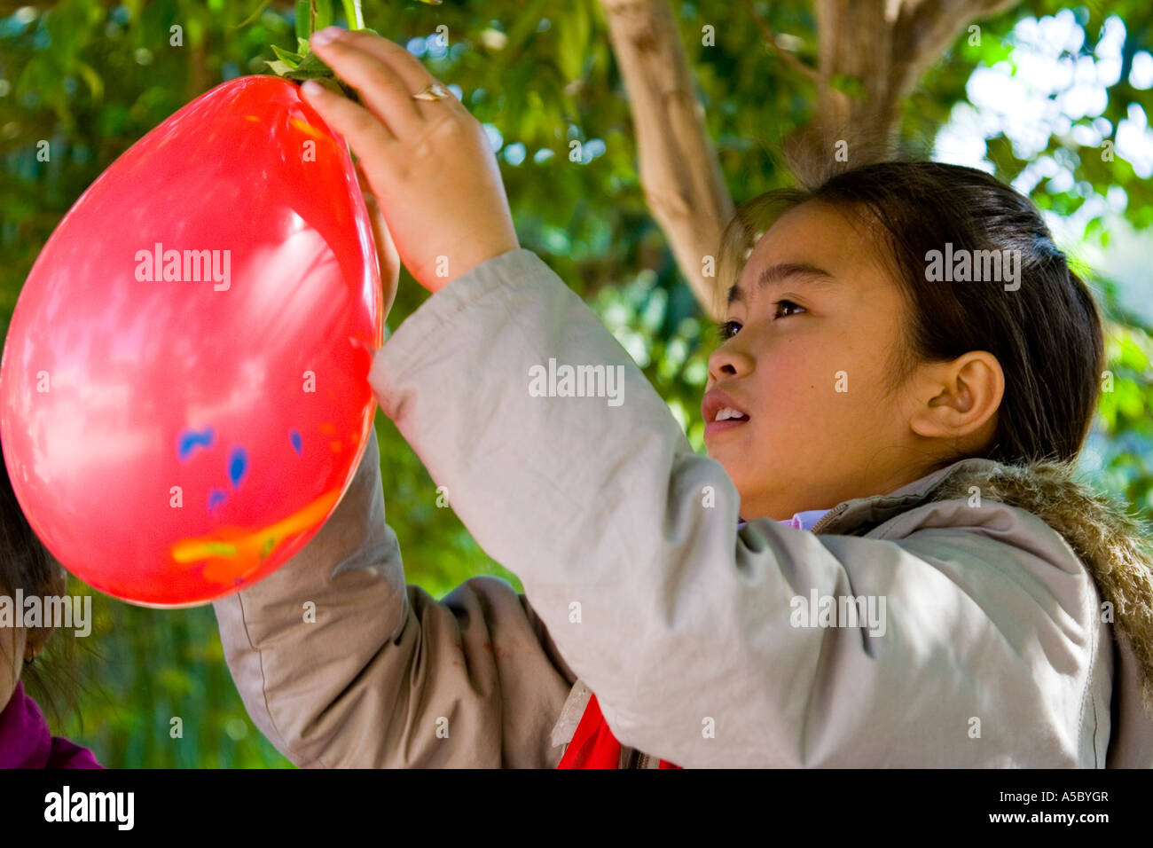 Jeune fille laotienne ballons suspendus pour un parti Luang Prabang au Laos Banque D'Images