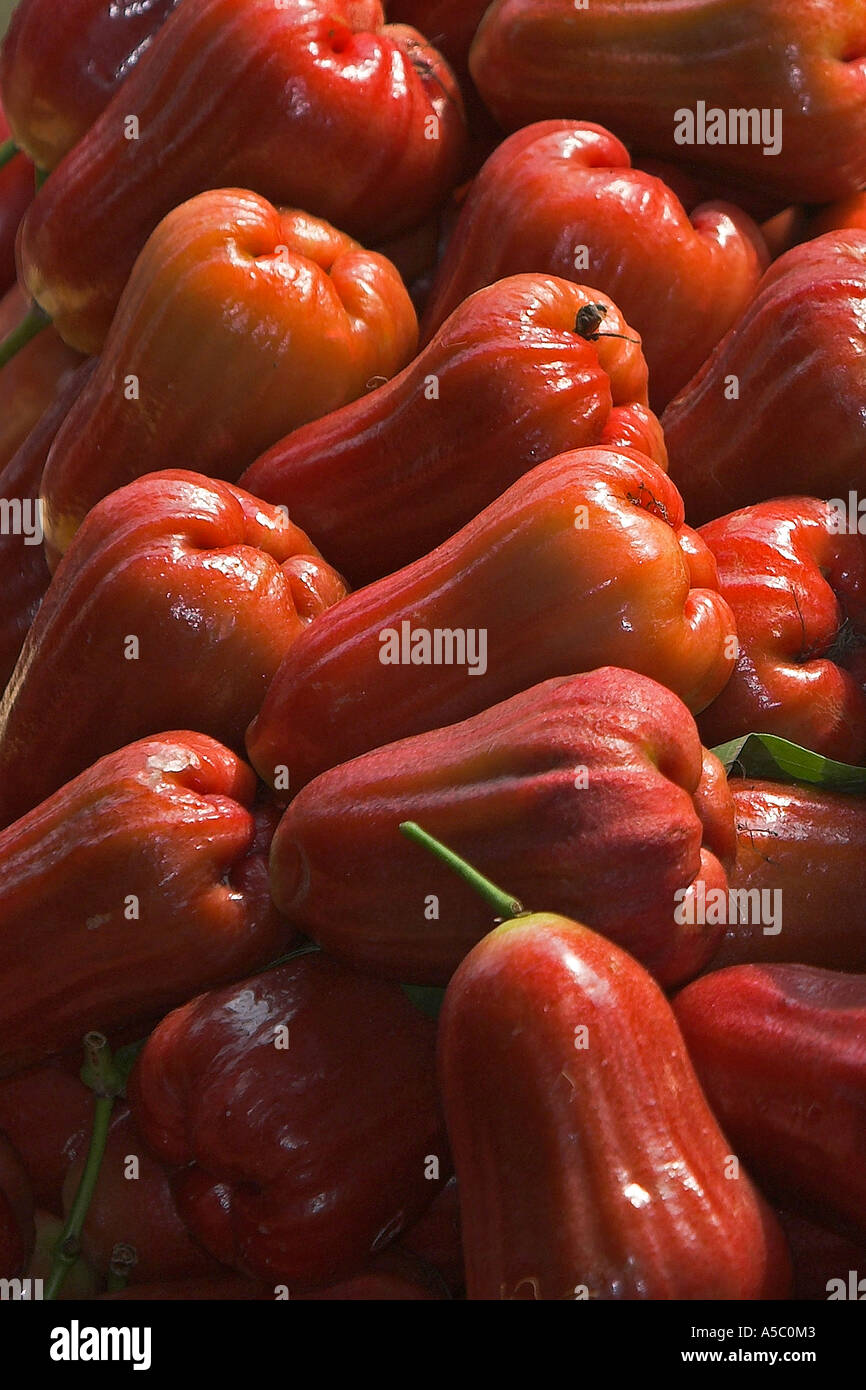 Marché flottant de Damnoen Saduak attraction touristique près de Bangkok en Thaïlande Banque D'Images