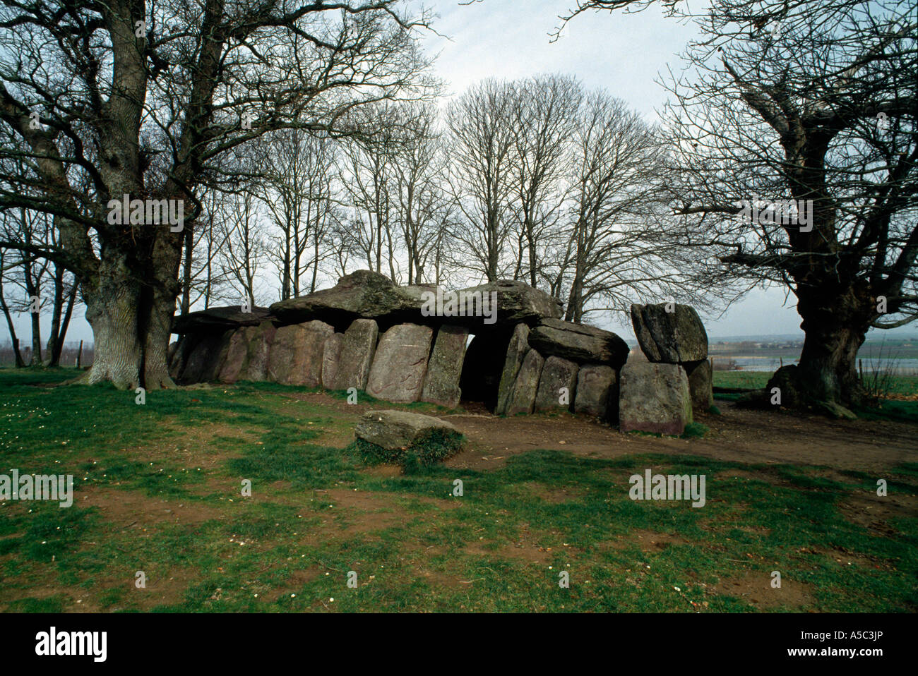 Essé (Ille-et-Vilaine), Dolmen de La Roche-aux-Fées Banque D'Images