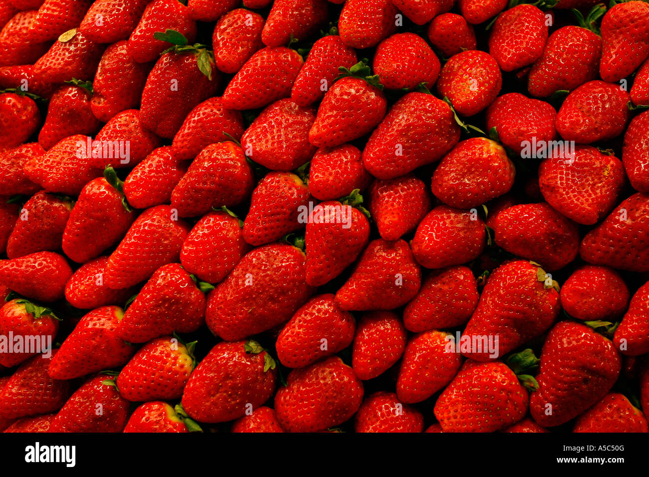 Les fraises en vente sur un étal du marché Banque D'Images