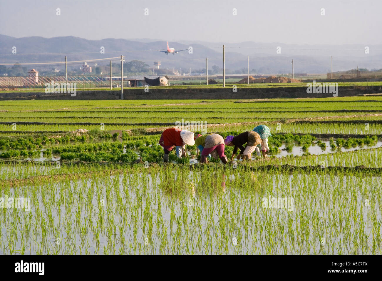 L'atterrissage de l'avion derrière les agriculteurs chinois le repiquage du riz dans les champs Jinghong, Chine Banque D'Images