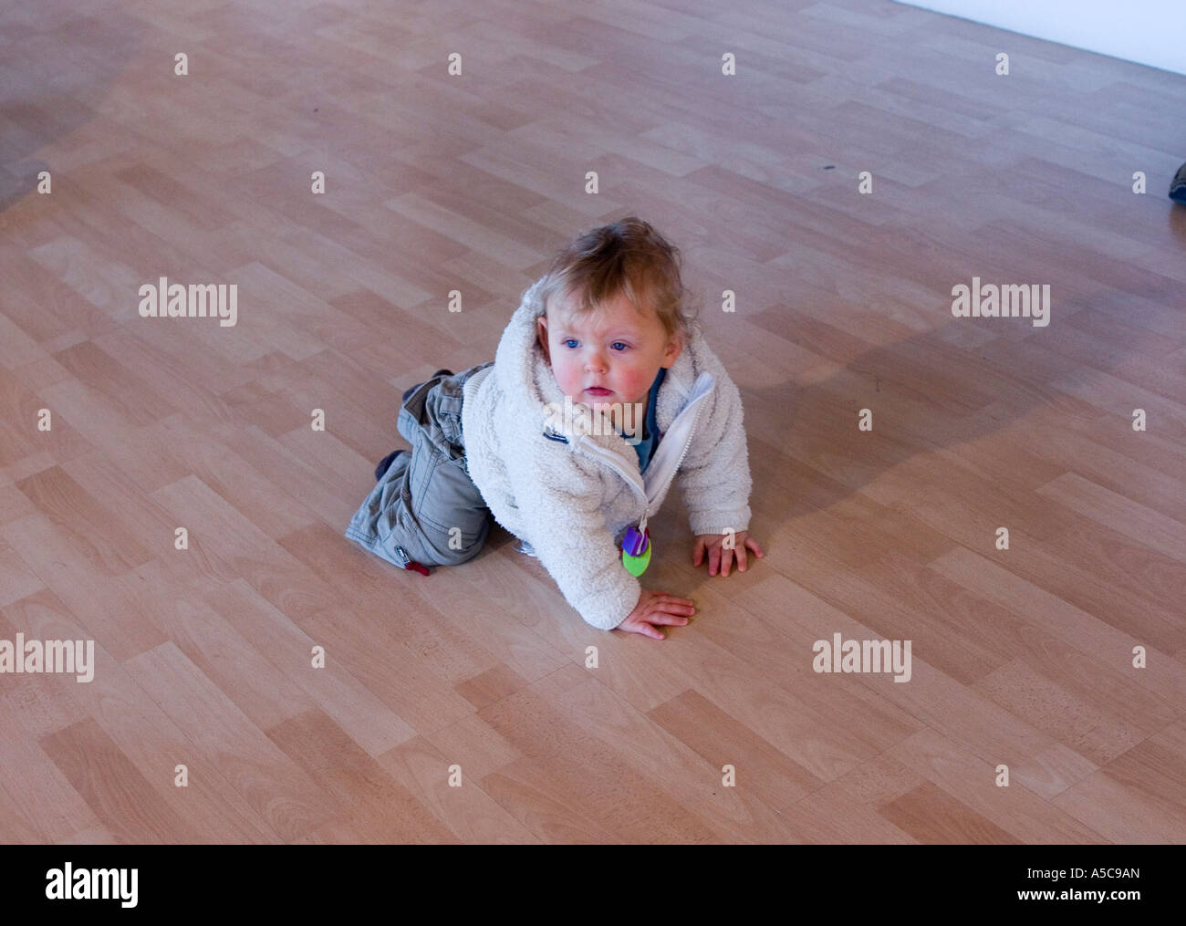 Un an bébé garçon jouant sur un plancher en bois stratifié Banque D'Images