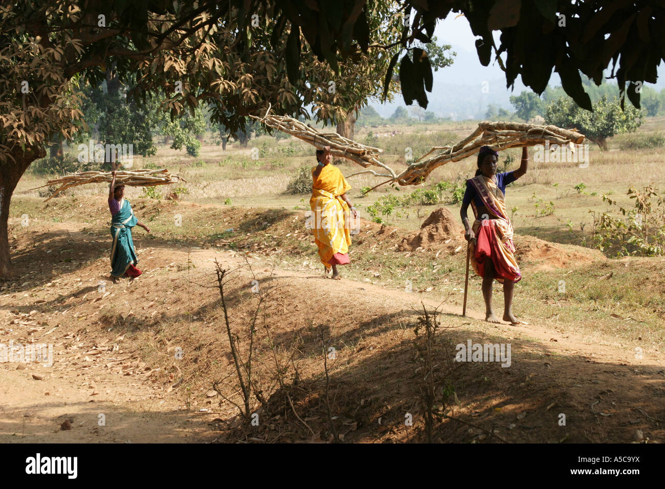Les femmes portant de lourdes charges sur la tête de la façon traditionnelle dans le Desia Kondh, zone tribale de l'Orissa, Inde Banque D'Images