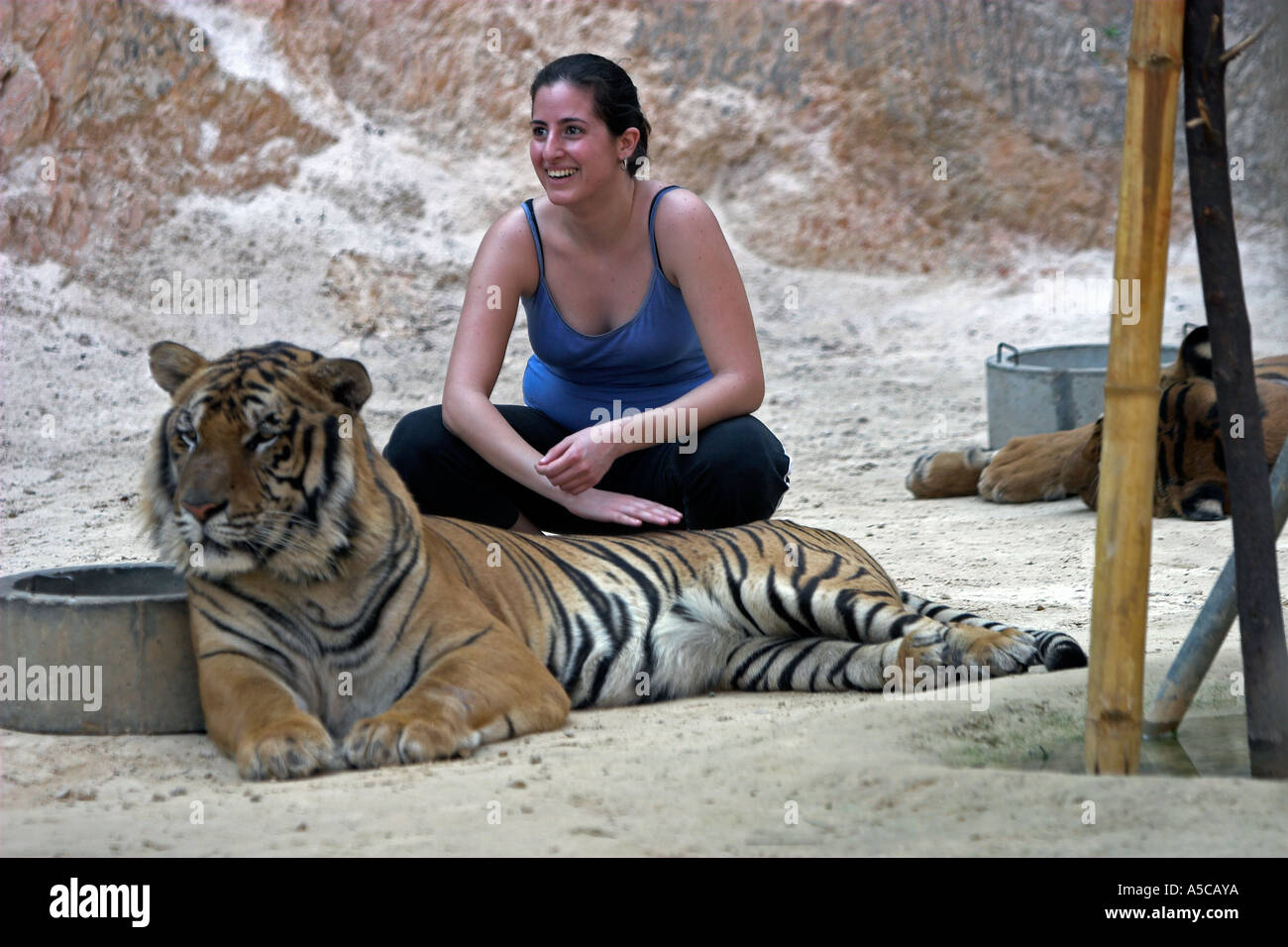Tiger Temple près de la Thaïlande Kanchanaburi Banque D'Images