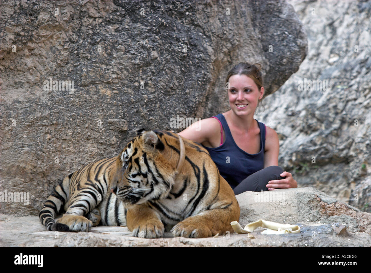 Tiger Temple près de la Thaïlande Kanchanaburi Banque D'Images