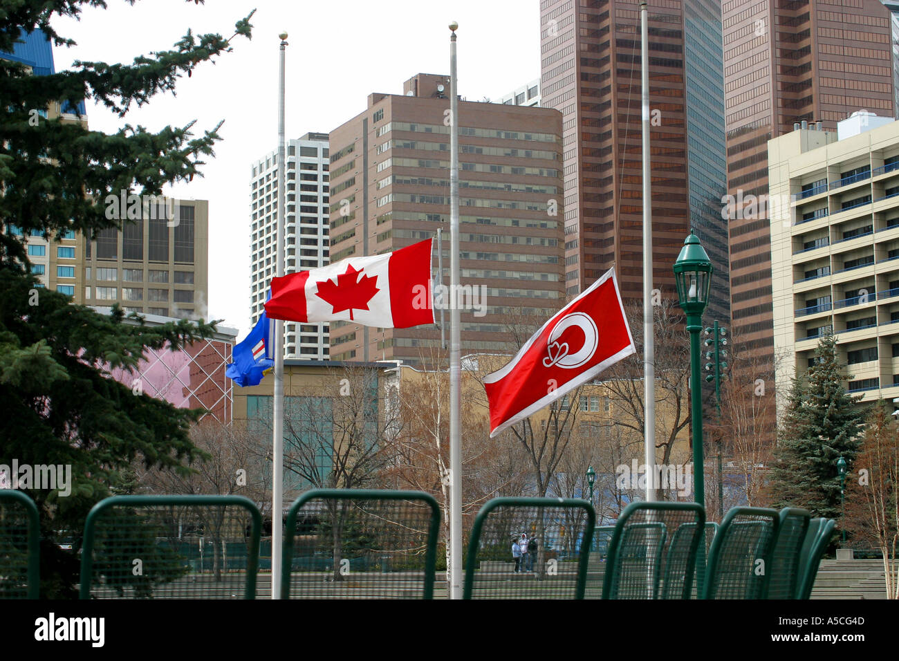 Drapeau canadien Banque D'Images Drapeau canadien Banque D'Images