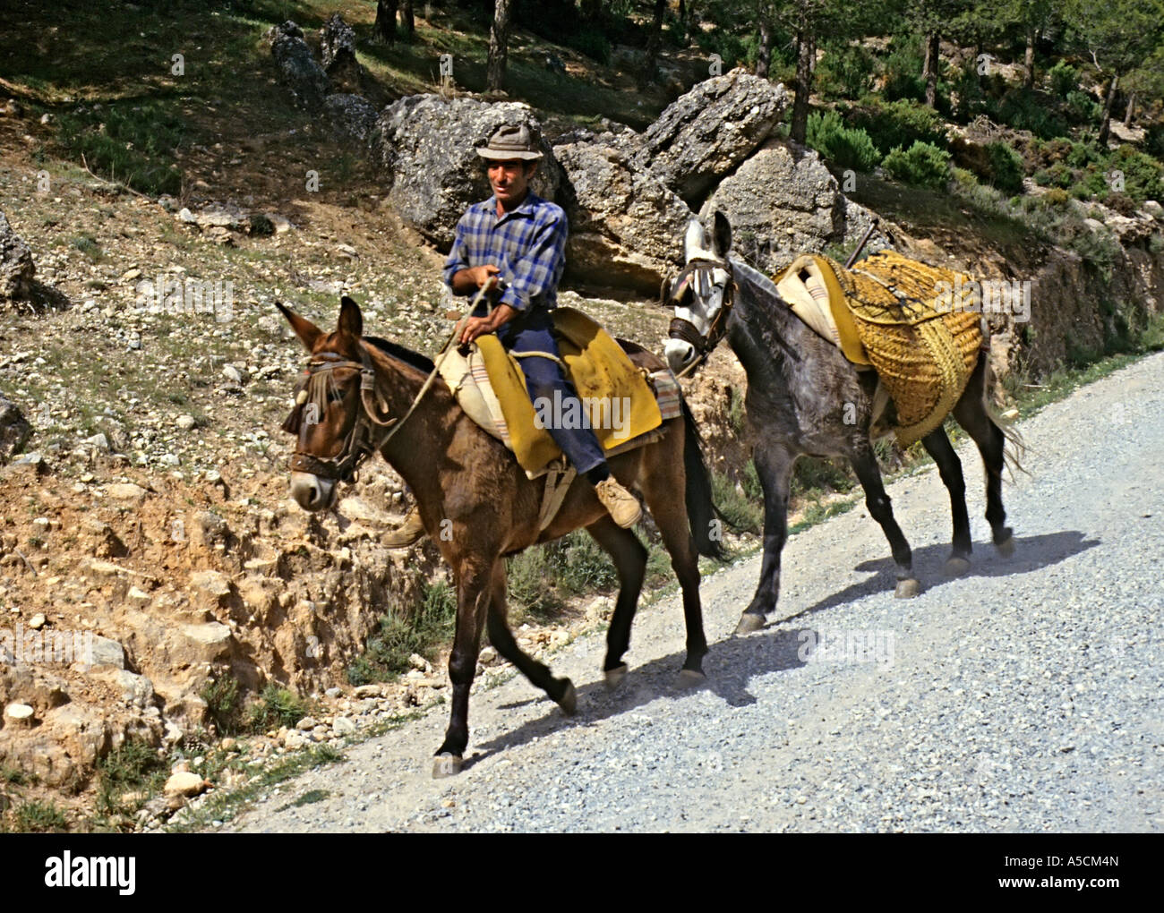 L'homme sur le Cheval poney laden menant vers le bas de la route escarpée El Torcal Malaga Espagne Banque D'Images