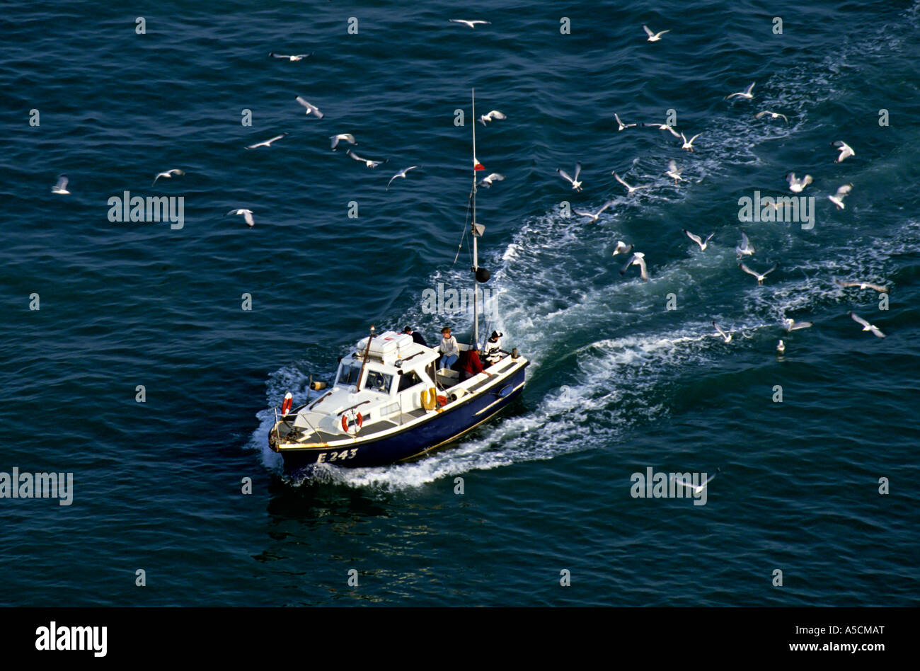 Bateau de pêche de location privée de retour à la maison suivi d'Elista Wales UK Banque D'Images