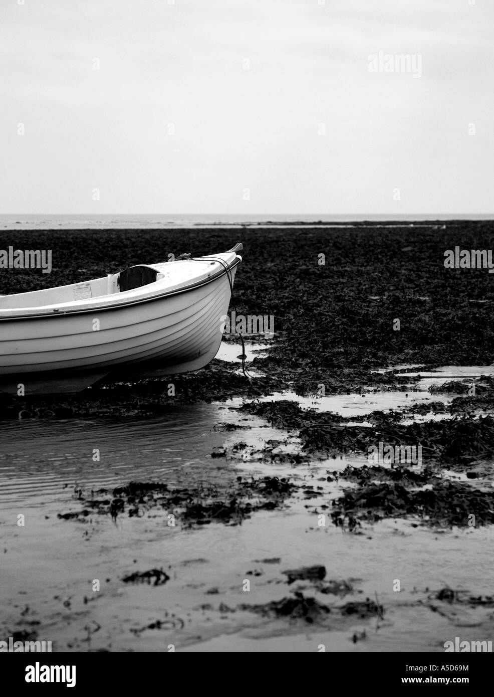 Bateau blanc sur une plage couverte d'algues prises en noir et blanc Banque D'Images