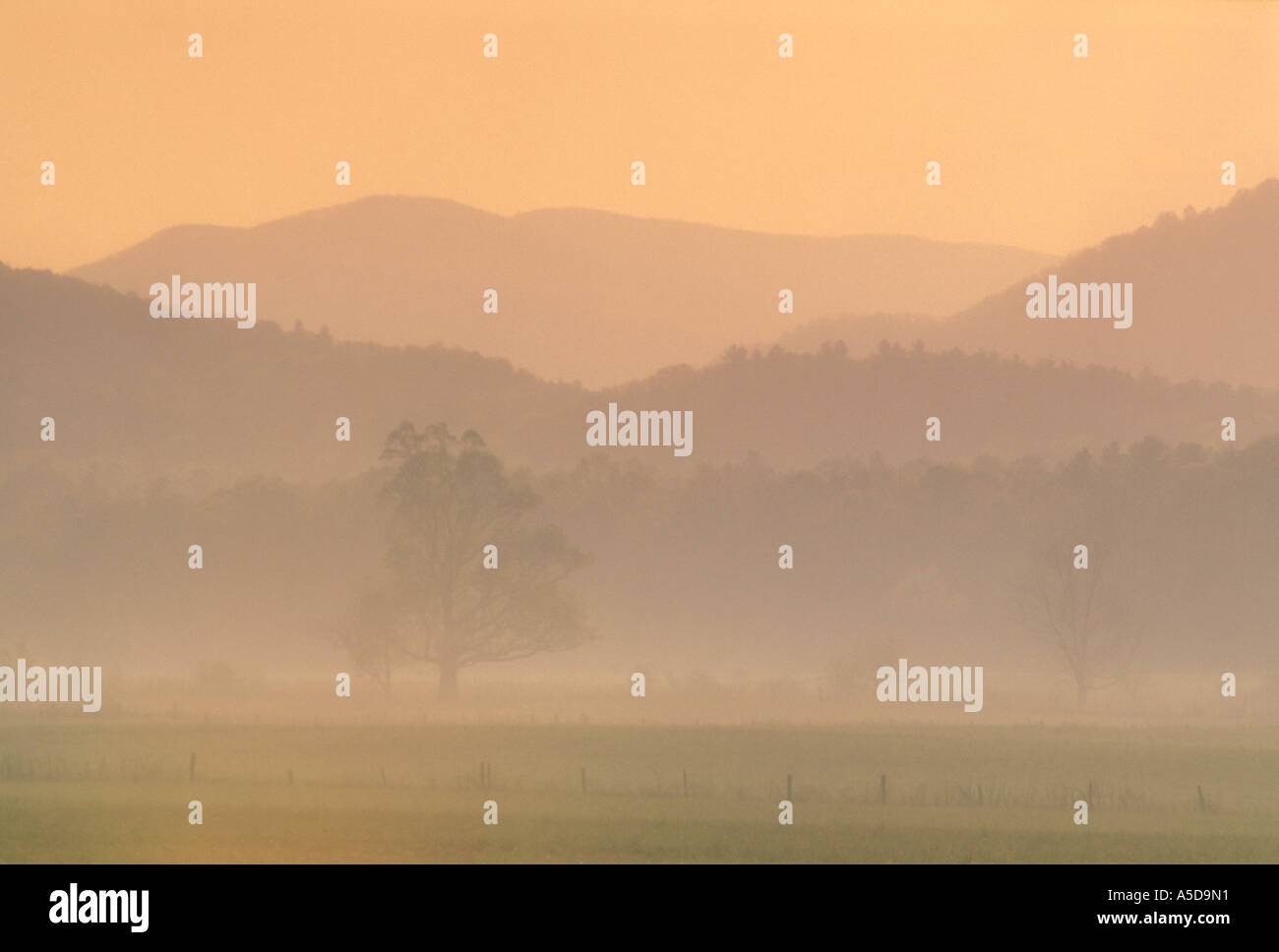 Cades Cove Misty et les montagnes à l'aube Great Smoky Mountains National Park Utah Banque D'Images